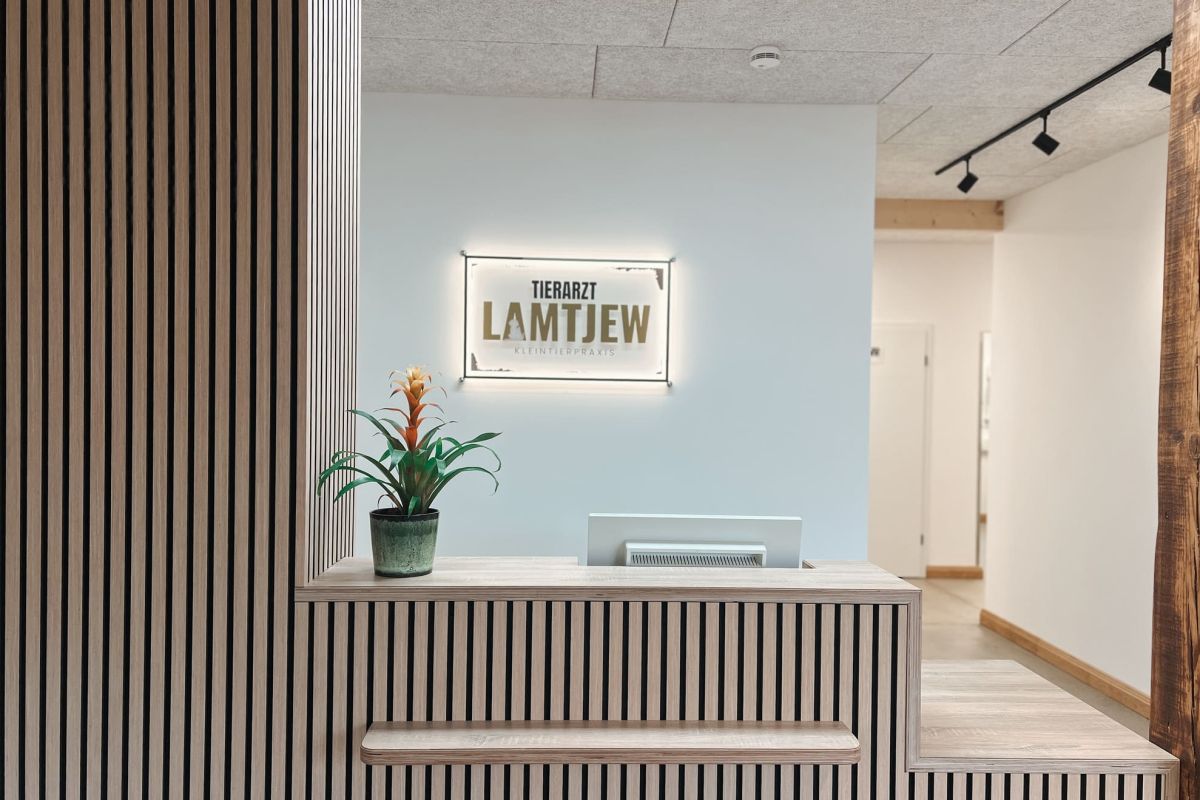 Toerarzt Lamtjew Rezeption