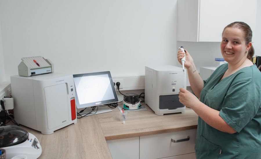 Mitarbeiterin beim arbeiten in Praxis