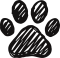 Pfoto Symbol
